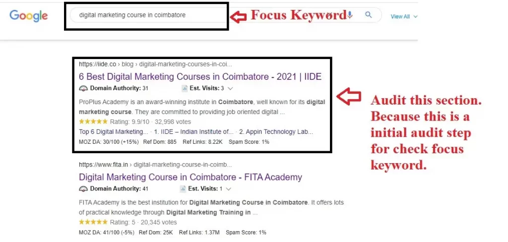 Audit-the-website-for-focus-keyword